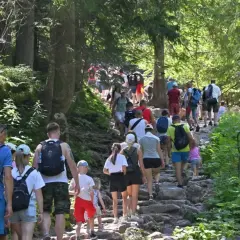 Tłum turystów podąża kamienistym szlakiem przez las. Widać wyraźne oznaczenie szlaku, być może to popularny **trzy korony szlak**.