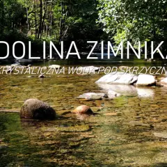 Krystalicznie czysta woda płynie przez kamieniste dno w Dolinie Zimnika. Słońce przebija się przez liście drzew, tworząc refleksy na powierzchni.