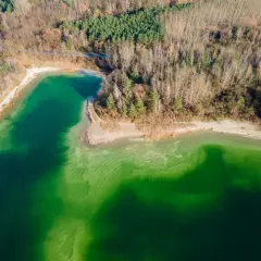 Malowniczy osadnik gajówka otoczony lasem, z wodą o intensywnym, zielonym zabarwieniu.