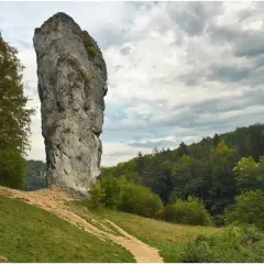 Ojcowski Park Narodowy: majestatyczna Maczuga Herkulesa góruje nad zielonymi wzgórzami i lasem.