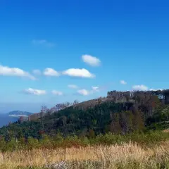 Górski krajobraz z suchym drzewem, przypominającym samotny czupel, na tle błękitnego nieba z chmurami.
