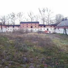 Mniszki skansen: Odkryj znikające rzemiosła i regionalną historię