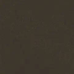 Najlepsze atrakcje w Kaletach, które musisz zobaczyć podczas wizyty