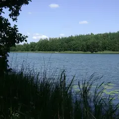 Warchały atrakcje: najlepsze miejsca na wędkowanie i relaks w naturze