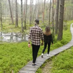 Para spaceruje drewnianą kładką przez malowniczy las. Odkrywają magiczne miejsca kujawsko-pomorskie, gdzie natura zachwyca zielenią i spokojem.