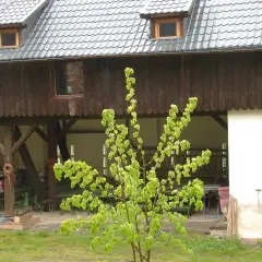 Skansen Gottwaldówka - odkryj historię i atrakcje Kątów Bystrzyckich