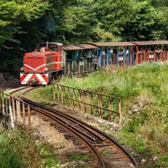Czerwona lokomotywa z wagonami pełnymi turystów jedzie po krętej trasie. Kolejka bieszczadzka przemierza malownicze tereny, a która trasa ciekawsza, to już kwestia gustu!