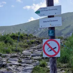 Kamienisty szlak prowadzi na Halę Kondratową. Znaki wskazują drogę na Przełęcz pod Kopą Kondracką.