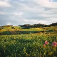 Zielone wzgórza i pola uprawne oświetlone słońcem, z lasem w tle. Idealne miejsce, by zastanowić się, gdzie najbliżej w góry.