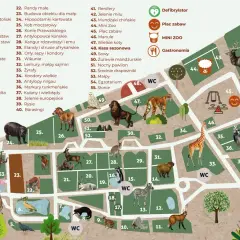 Co ciekawego w Krakowie? Mapa zoo z zwierzętami: od słoni i żyraf po pandy i tygrysy. Znajdź też place zabaw i gastronomię.