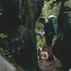 Wędrowiec z psem przemierza leśną ścieżkę. W oddali widać zalesione wzgórza, a na pierwszym planie skalne formacje, tworzące malowniczą Lisia Przełęcz.