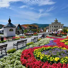 Kolorowe rabaty kwiatowe na rynku w Muszynie-Zdroju, z fontanną i budynkami w tle.