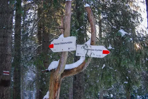 Znak szlaku w zimowym lesie. Wskazuje drogę do Równi Waksmundzkiej i Toporowej Cyrhli. Śnieg na gałęziach przypomina suchą wodę.