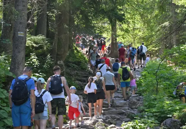Tłum turystów podąża kamienistym szlakiem przez las. Widać wyraźne oznaczenie szlaku, być może to popularny **trzy korony szlak**.