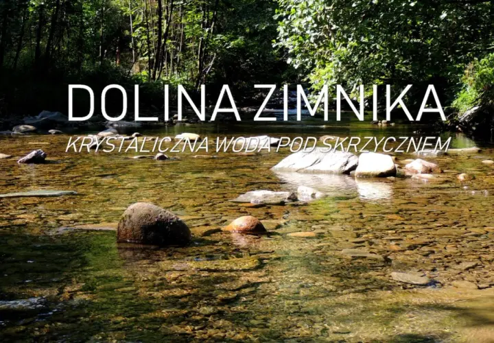 Krystalicznie czysta woda płynie przez kamieniste dno w Dolinie Zimnika. Słońce przebija się przez liście drzew, tworząc refleksy na powierzchni.