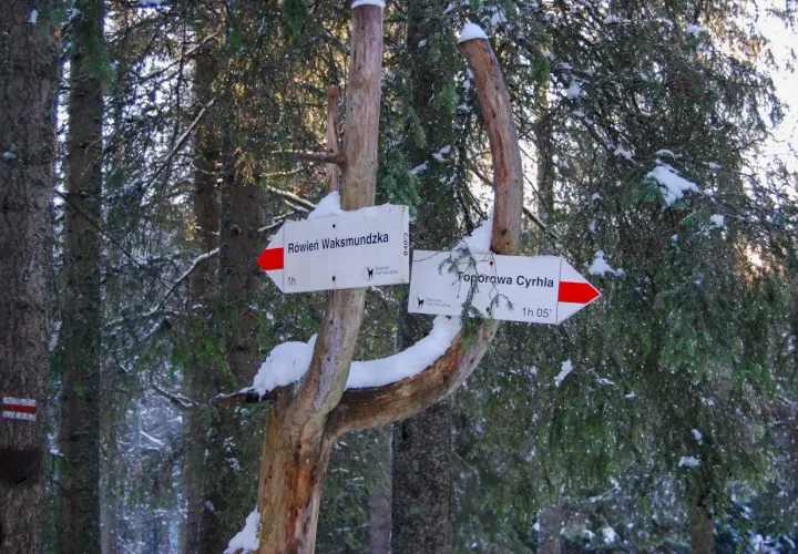 Znak szlaku w zimowym lesie. Wskazuje drogę do Równi Waksmundzkiej i Toporowej Cyrhli. Śnieg na gałęziach przypomina suchą wodę.