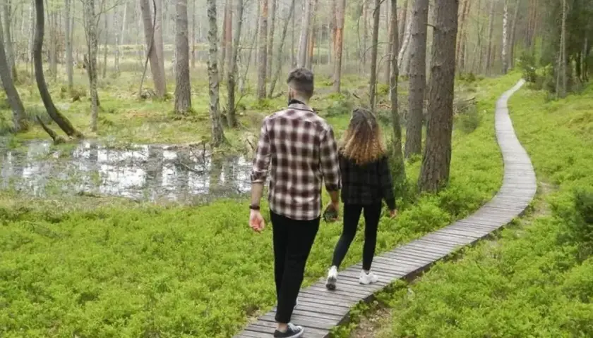 Para spaceruje drewnianą kładką przez malowniczy las. Odkrywają magiczne miejsca kujawsko-pomorskie, gdzie natura zachwyca zielenią i spokojem.