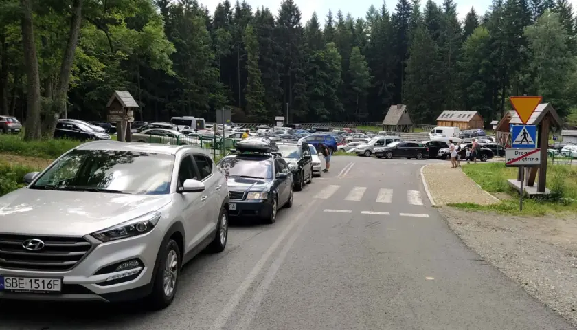 Tłum samochodów na parkingu przy Błędnych Skałach w Kudowie Zdroju, otoczony lasem.
