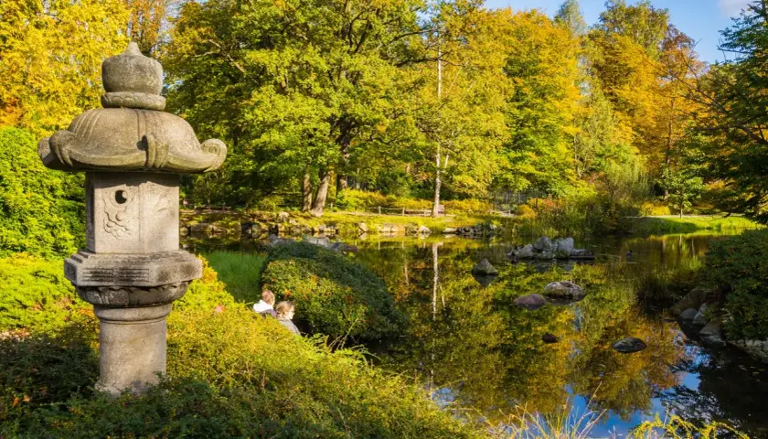 Kamienna latarnia w pięknym ogrodzie japońskim, otoczona jesiennymi barwami i spokojną wodą.