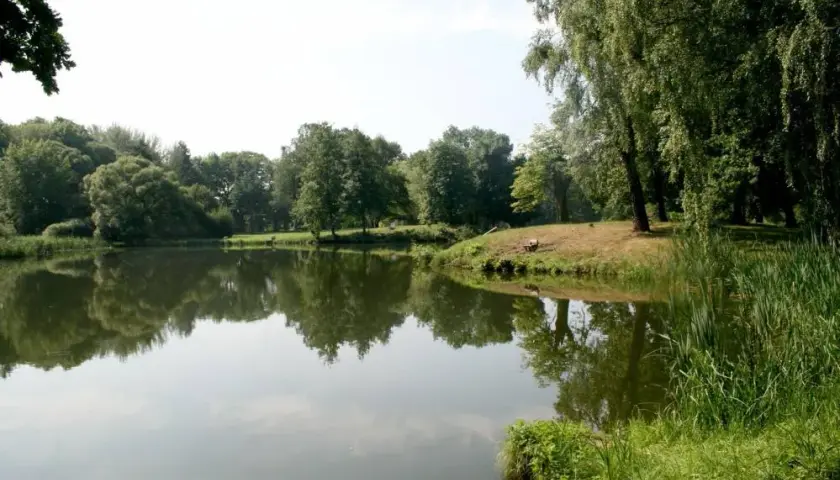 Najlepsze atrakcje w parku Świerklaniec, które musisz zobaczyć