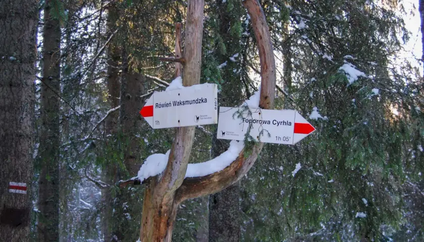 Znak szlaku w zimowym lesie. Wskazuje drogę do Równi Waksmundzkiej i Toporowej Cyrhli. Śnieg na gałęziach przypomina suchą wodę.