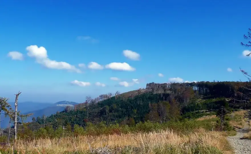 Czupel - Beskid Mały. Szczyt na spokojny dzień?