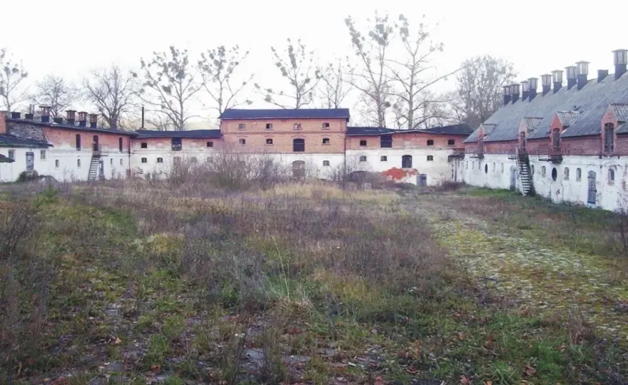 Mniszki skansen: Odkryj znikające rzemiosła i regionalną historię