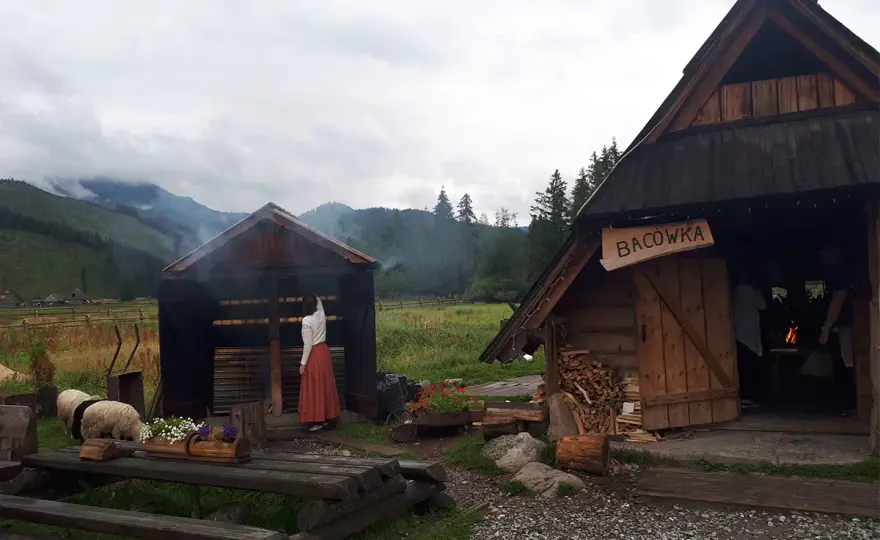 Bacówka Zakopane Oscypki – autentyczne smaki Tatr czekają na Ciebie