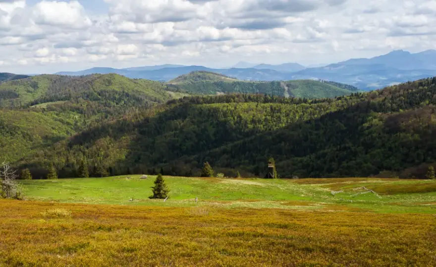Beskidy - Najlepsze szlaki i jak je wybrać mądrze