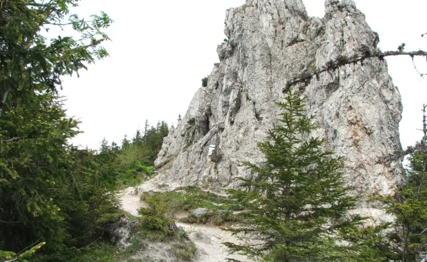 Gęsia Szyja i Rusinowa Polana - Tatry. Widoki bez zmęczenia?