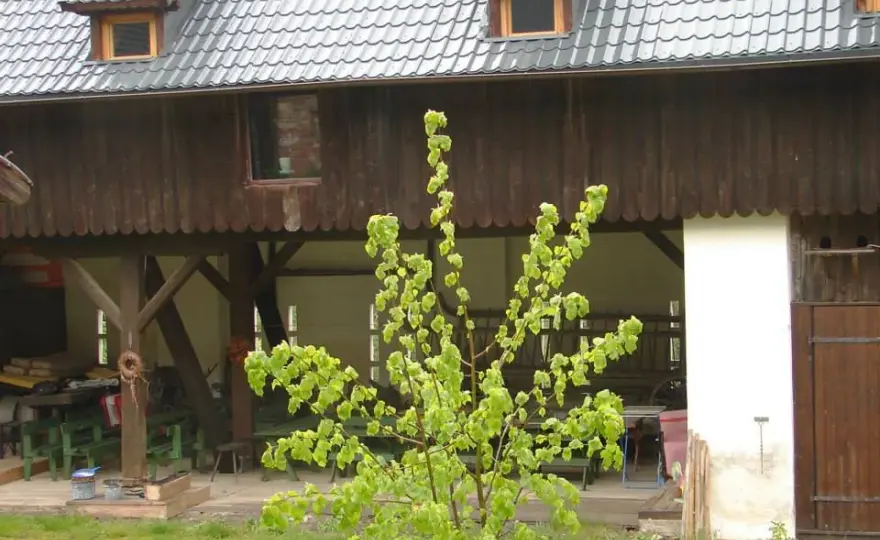 Skansen Gottwaldówka - odkryj historię i atrakcje Kątów Bystrzyckich