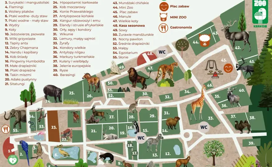 Kraków - co warto zobaczyć? Plan zwiedzania bez pośpiechu
