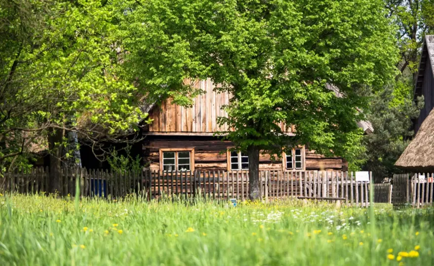 Najlepsze atrakcje w Ochli, które musisz zobaczyć i odwiedzić