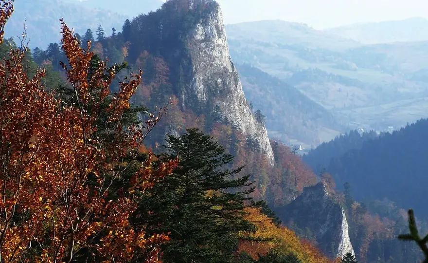 Sokolica Pieniny - Jaki szlak wybrać? Szczawnica czy Krościenko?