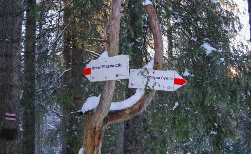 Sucha Woda w Tatrach - przewodnik po szlaku do Murowańca