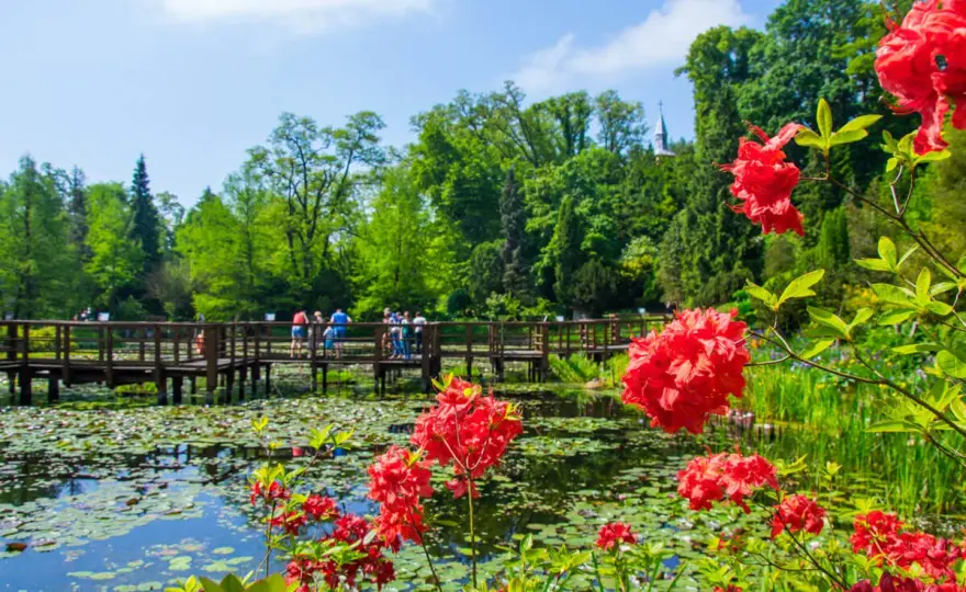 Bolestraszyce - Arboretum i fort - jak zaplanować idealną wizytę