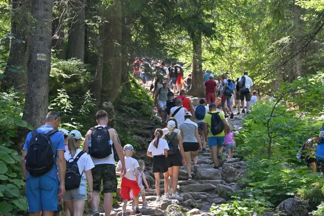 Tłum turystów podąża kamienistym szlakiem przez las. Widać wyraźne oznaczenie szlaku, być może to popularny **trzy korony szlak**.