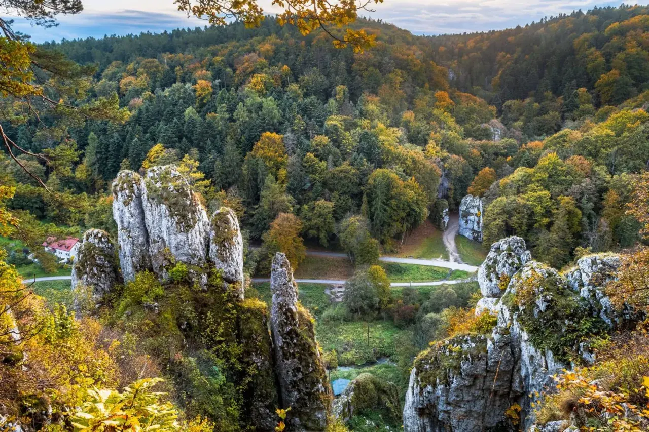 Ojcowski Park Narodowy gdzie zacząć? Jesienny krajobraz z wapiennymi skałami i lasem w tle.