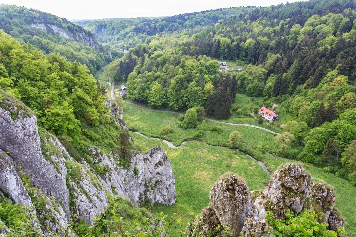 Malownicza dolina Prądnika z krętą rzeką, skalnymi ostańcami i zielonymi lasami. W oddali widać domki.