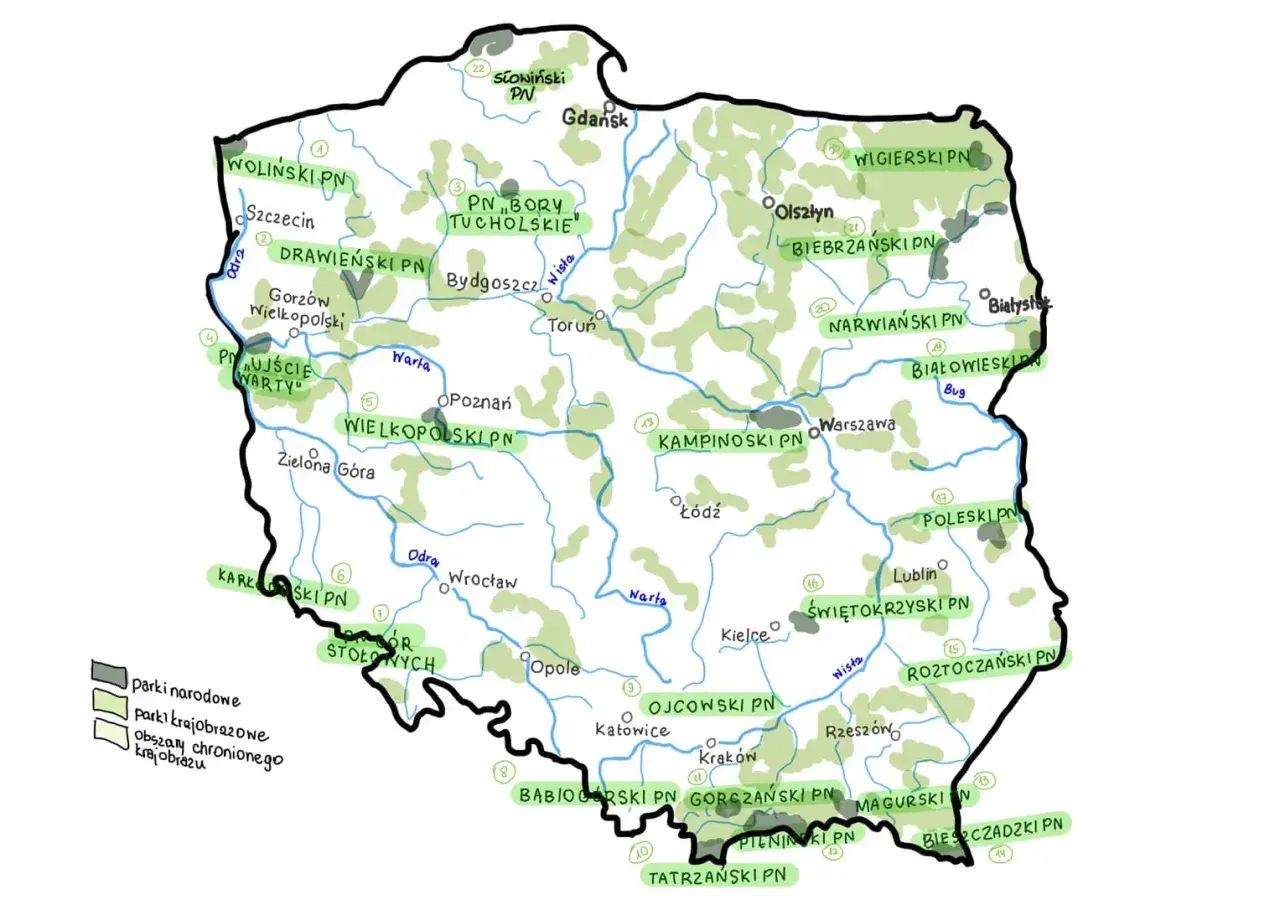Mapa Polski z zaznaczonymi parkami narodowymi. Ile jest parków narodowych w Polsce? Na mapie widać ich wiele, od Bałtyku po Tatry.