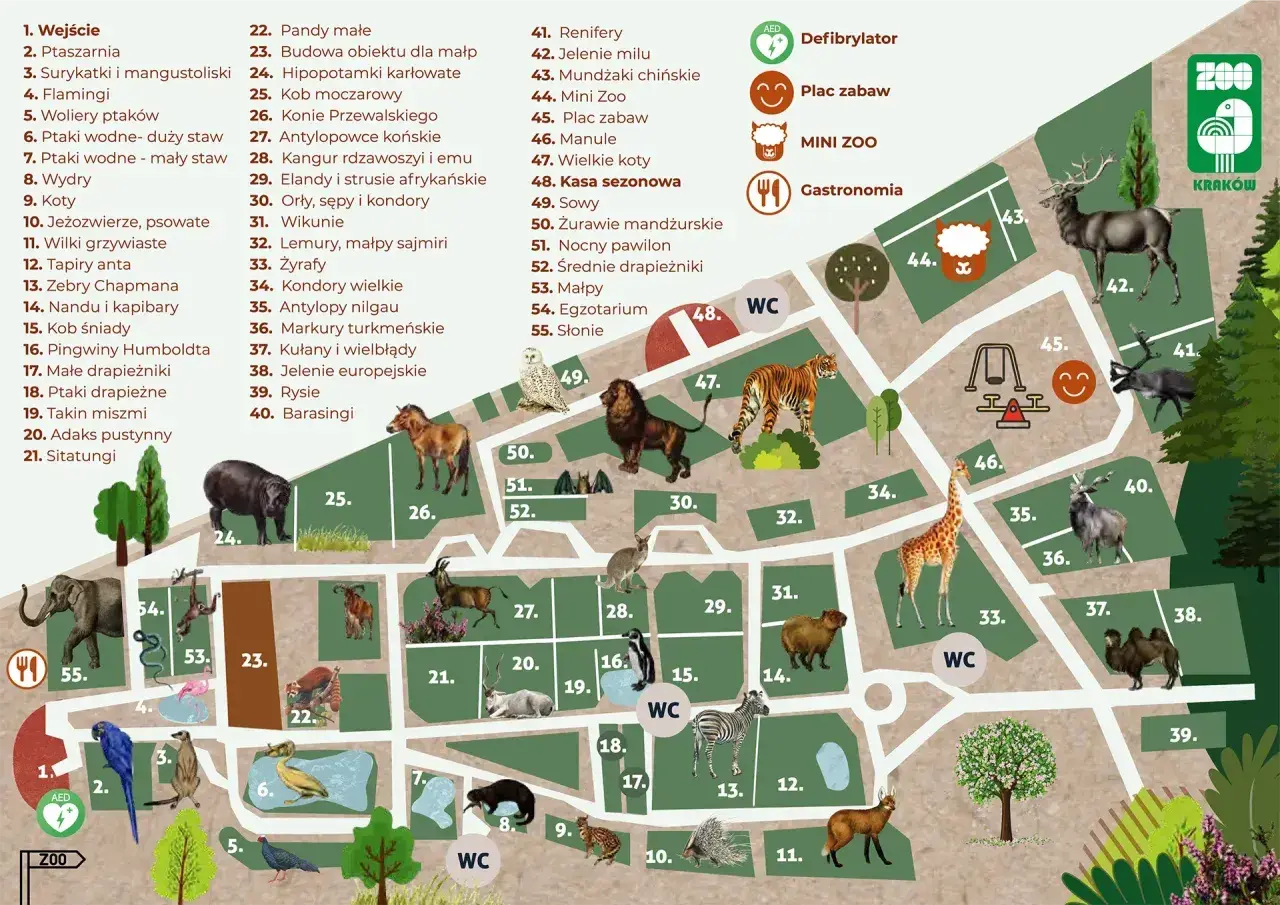Co ciekawego w Krakowie? Mapa zoo z zwierzętami: od słoni i żyraf po pandy i tygrysy. Znajdź też place zabaw i gastronomię.