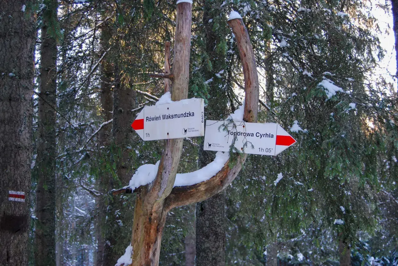 Znak szlaku w zimowym lesie. Wskazuje drogę do Równi Waksmundzkiej i Toporowej Cyrhli. Śnieg na gałęziach przypomina suchą wodę.