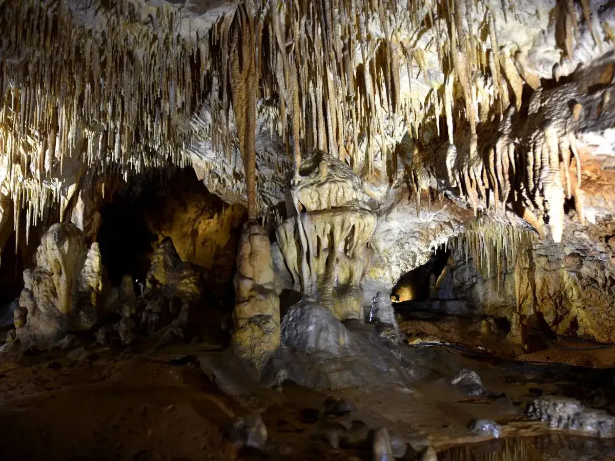 Wnętrze jaskini Raj, pełne stalaktytów i stalagmitów. Warto kupić jaskinia raj bilety, by zobaczyć ten cud natury.