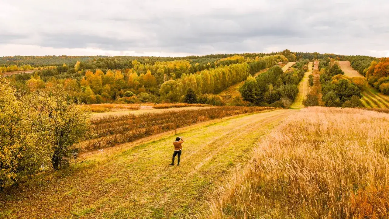 Jesienne krajobrazy Roztocza zachwycają. Osoba fotografuje malownicze pola i lasy w złotych barwach.
