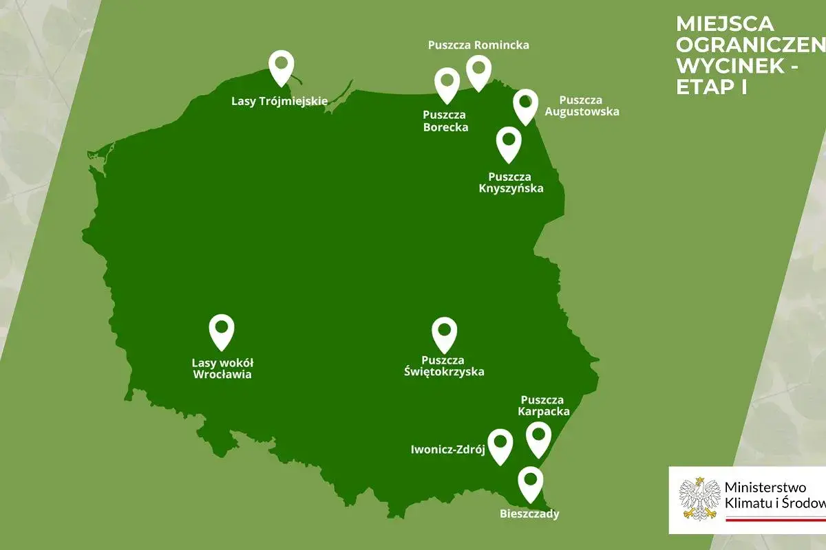Mapa Polski z zaznaczonymi obszarami leśnymi, w tym Puszczą Karpacką i Bieszczadami. Wskazuje miejsca ograniczeń wycinek.
