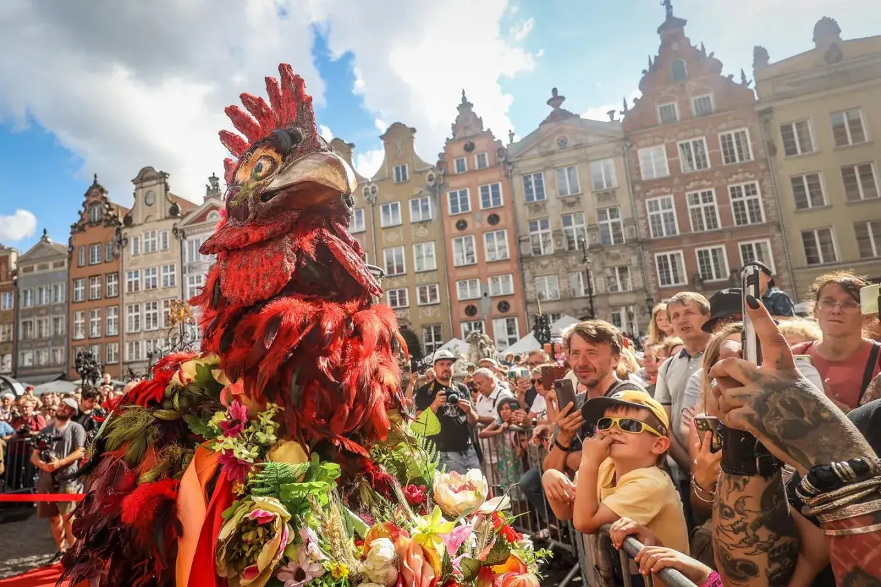 Kolorowy kogut na jarmarku dominikańskim w Gdańsku, otoczony tłumem ludzi robiących zdjęcia.