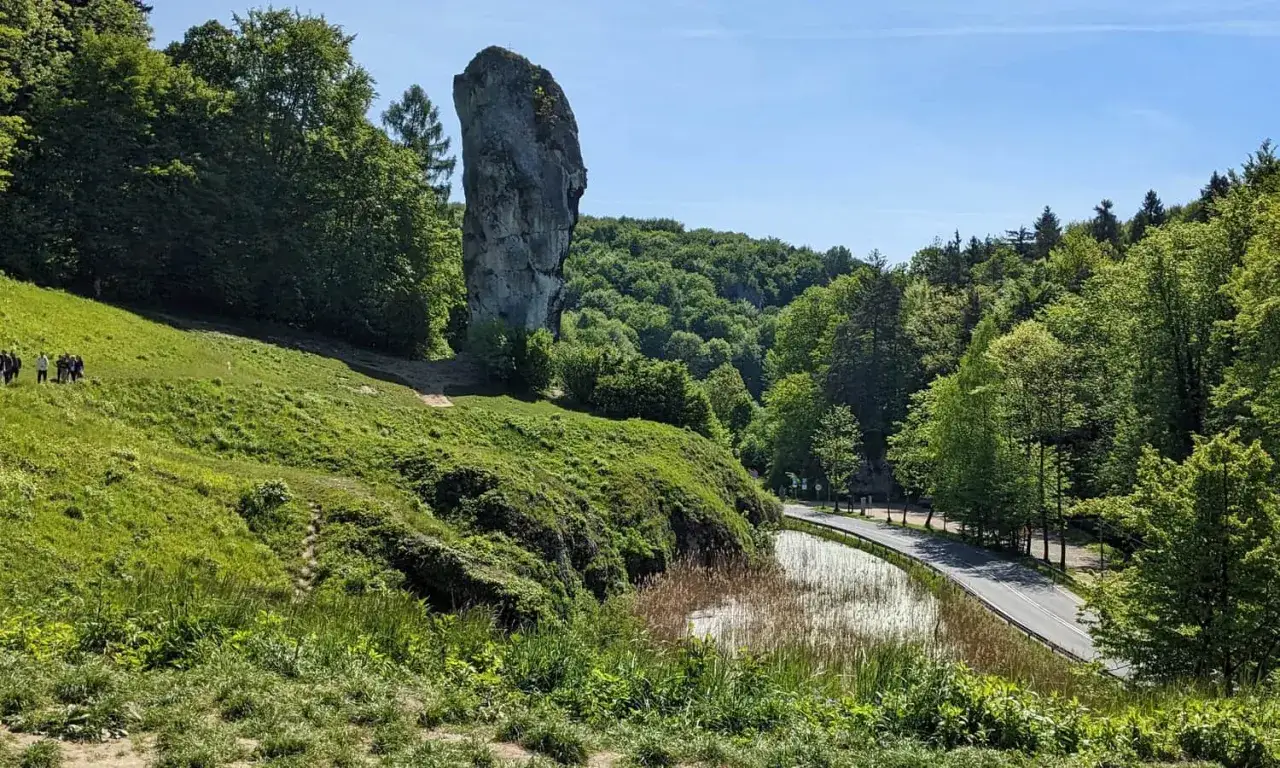 Malownicza trasa turystyczna obok Maczugi Herkulesa. Grupa ludzi wędruje po zielonym wzgórzu.