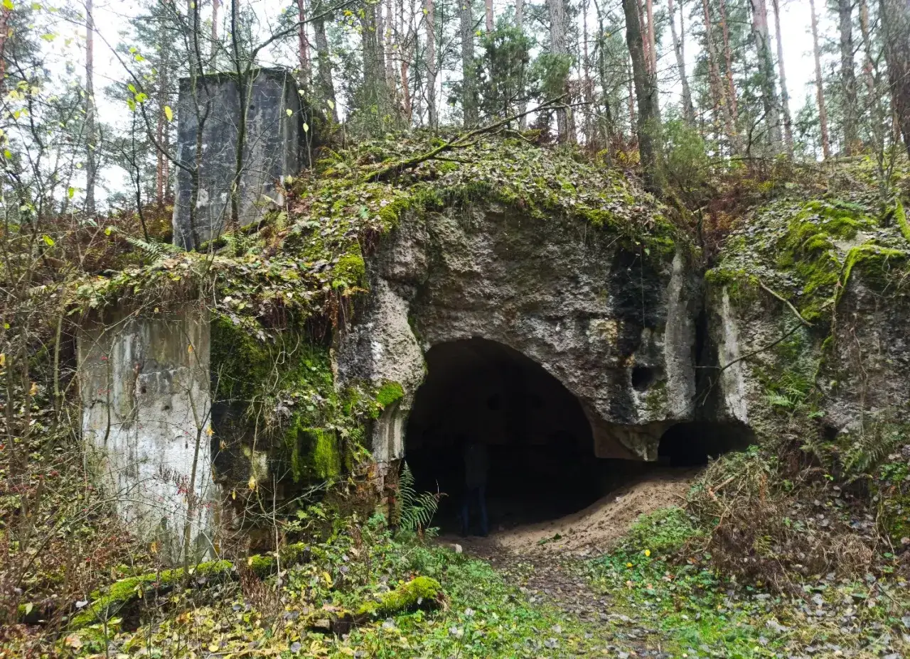 Wejście do bunkra w twierdzy Osowiec, porośnięte mchem i liśćmi.