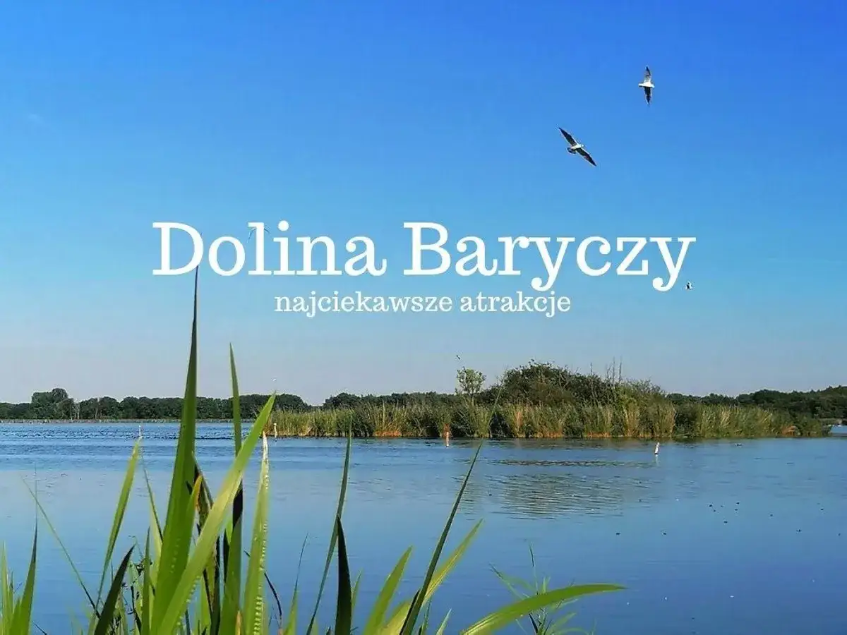 Zdjęcie Milicz atrakcje, które zaskoczą każdego turystę i warto je zobaczyć